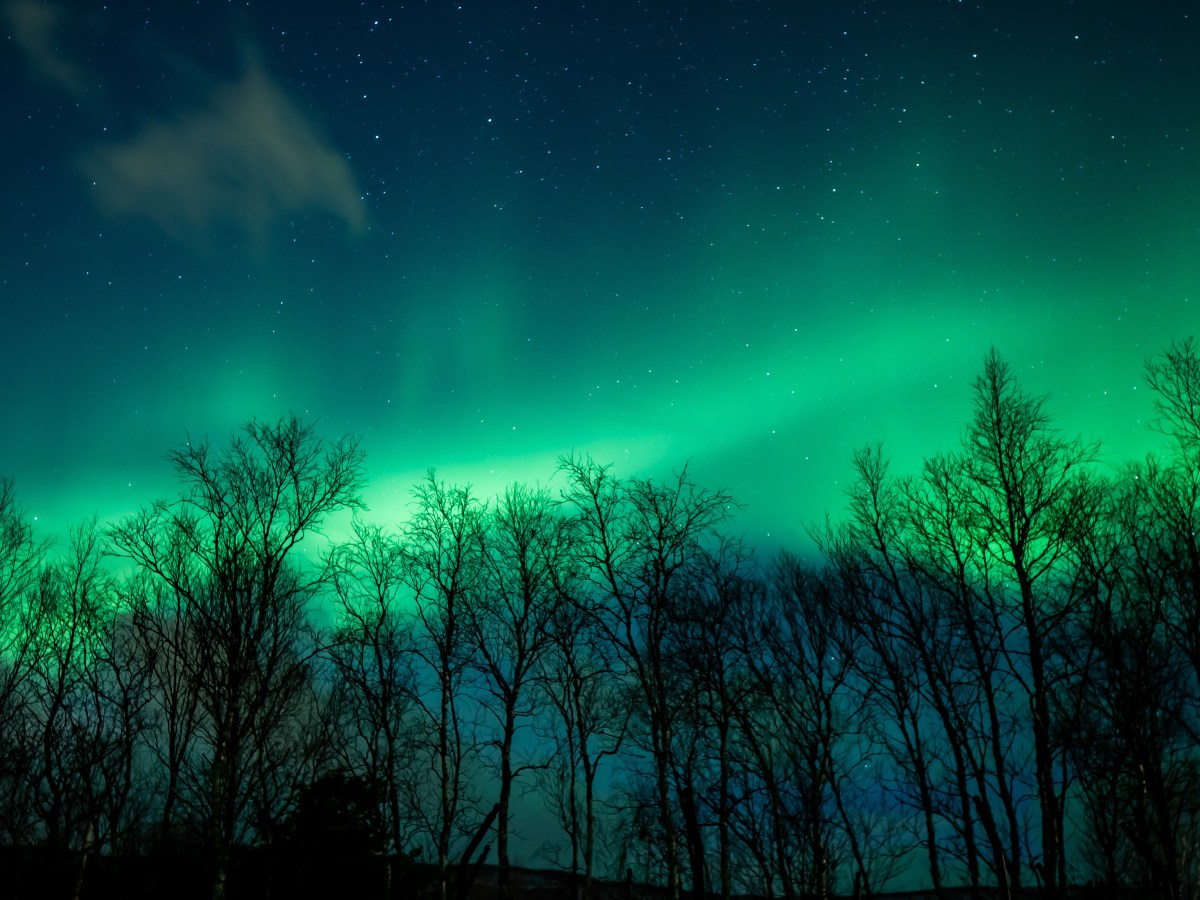 Norvège, jour 9 – Bye-bye les Lofoten, bonjour Evenes&nbsp;!