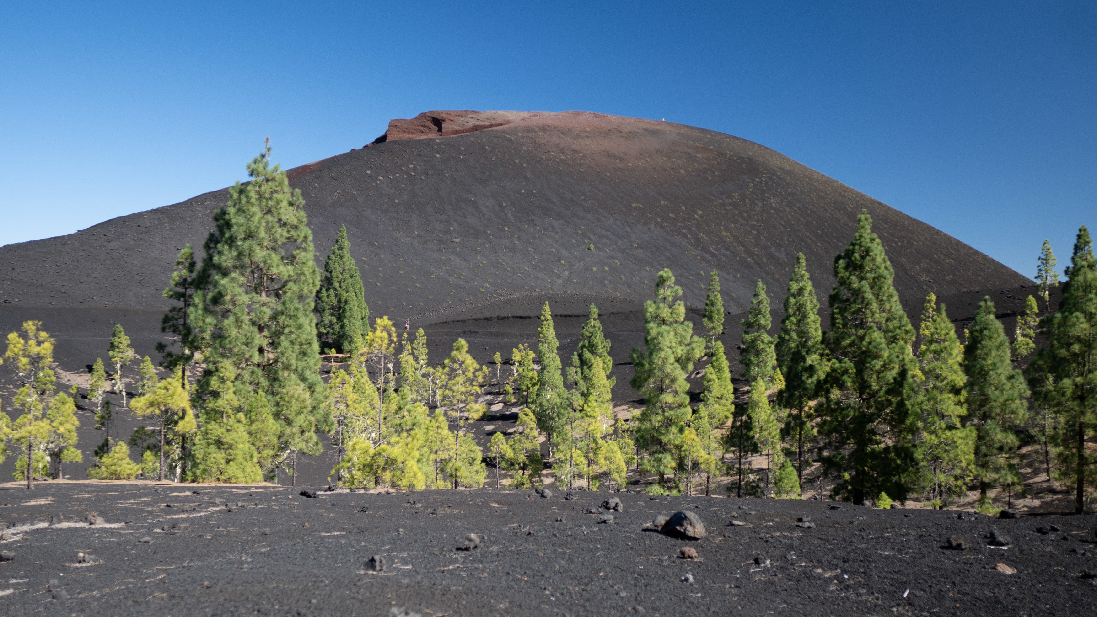 Randonnée de Chinyero et Montaña Negra : les plus beaux paysages volcaniques de Ténérife
