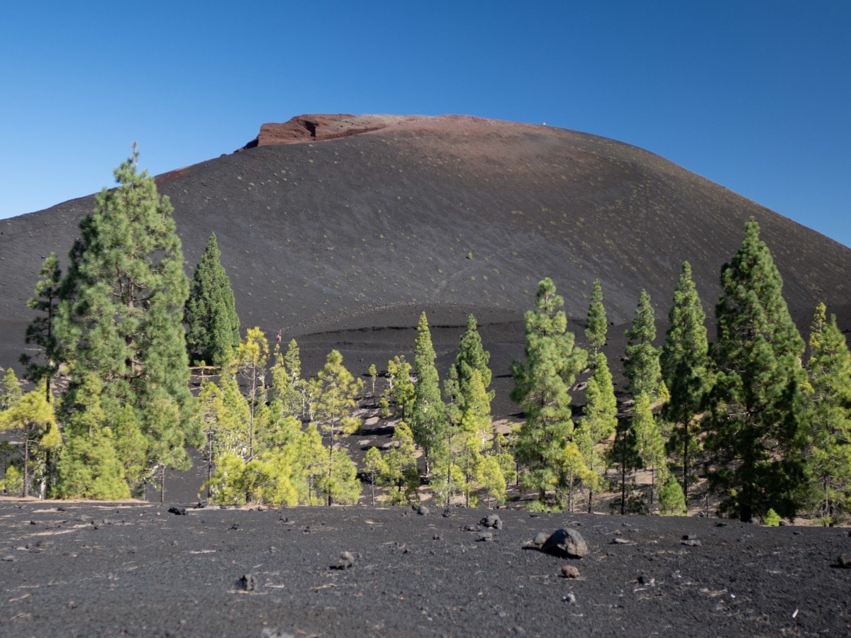 Ténérife, jour 2 – Première randonnée dans les volcans –&nbsp;Chinyero