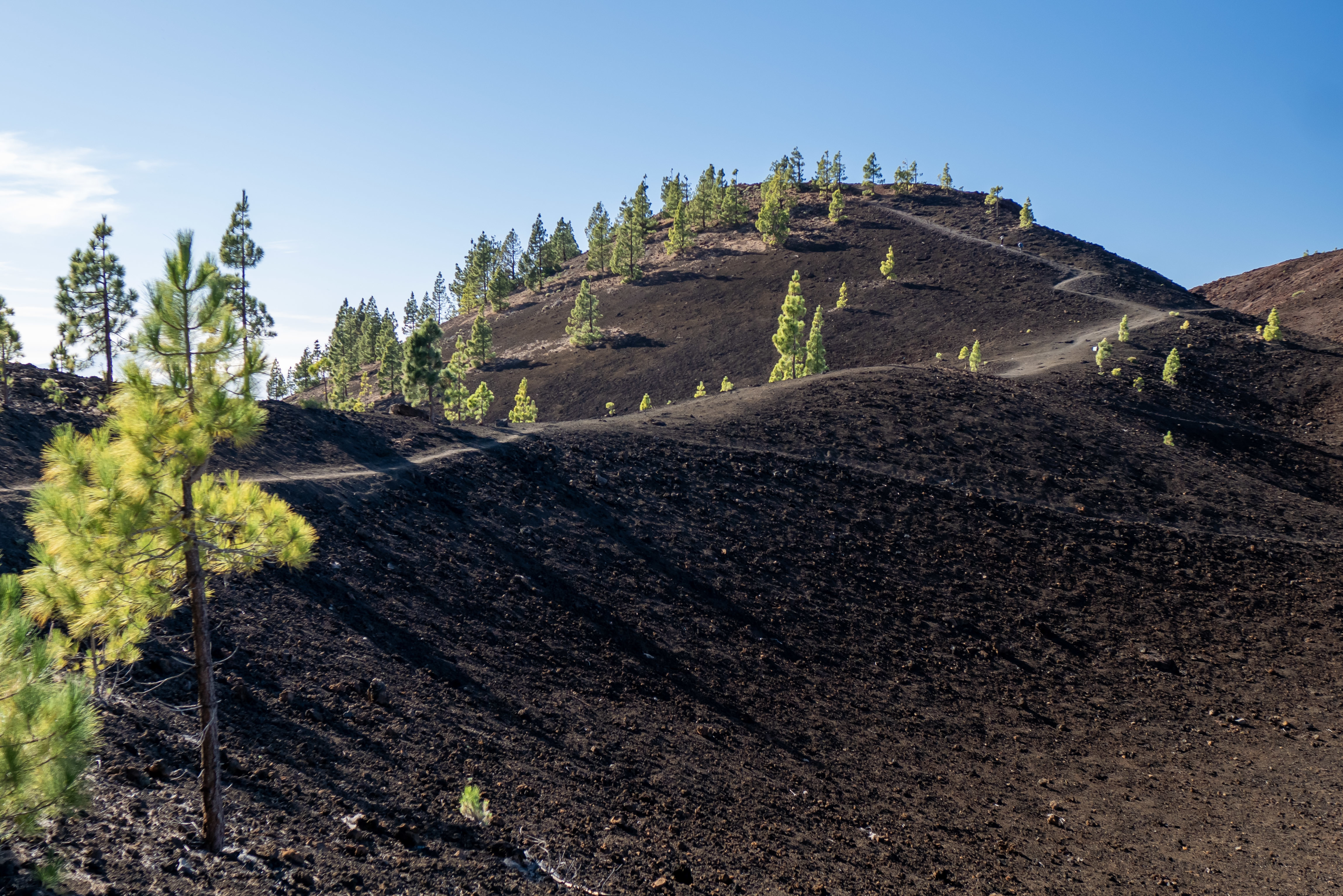 Randonnée de Samara à Ténérife : une immersion au cœur des volcans du Teide
