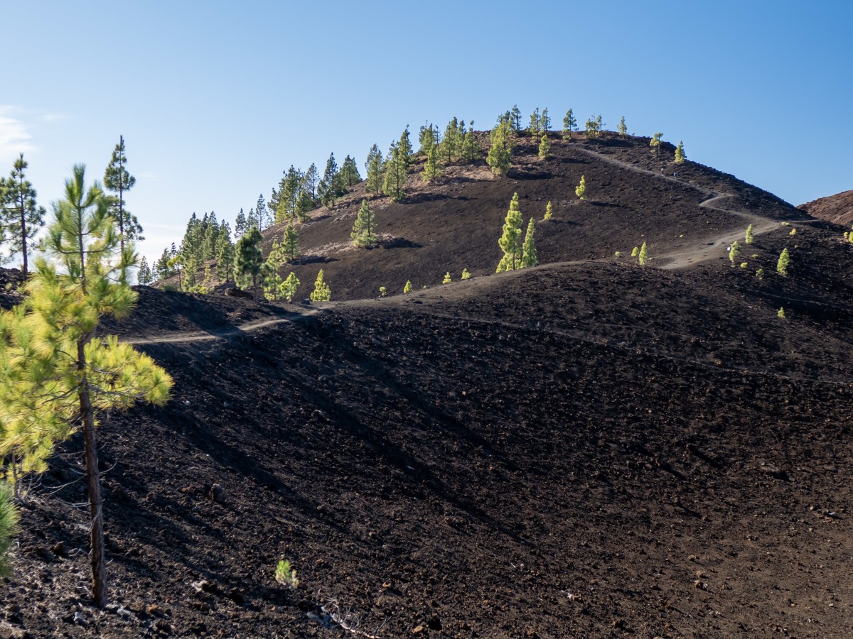 Ténérife, jour 3 – Randonnée de&nbsp;Samara