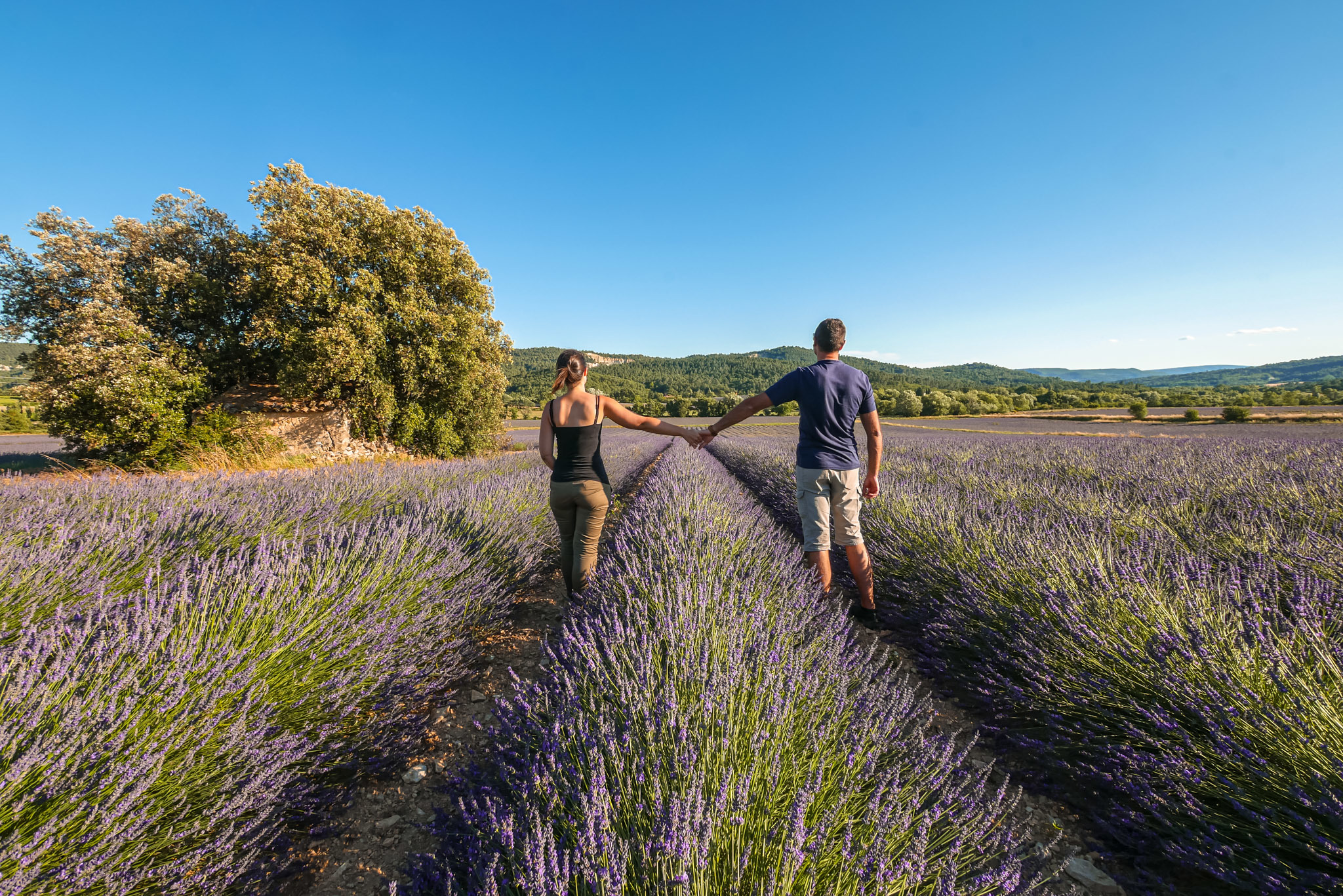 France – Luberon