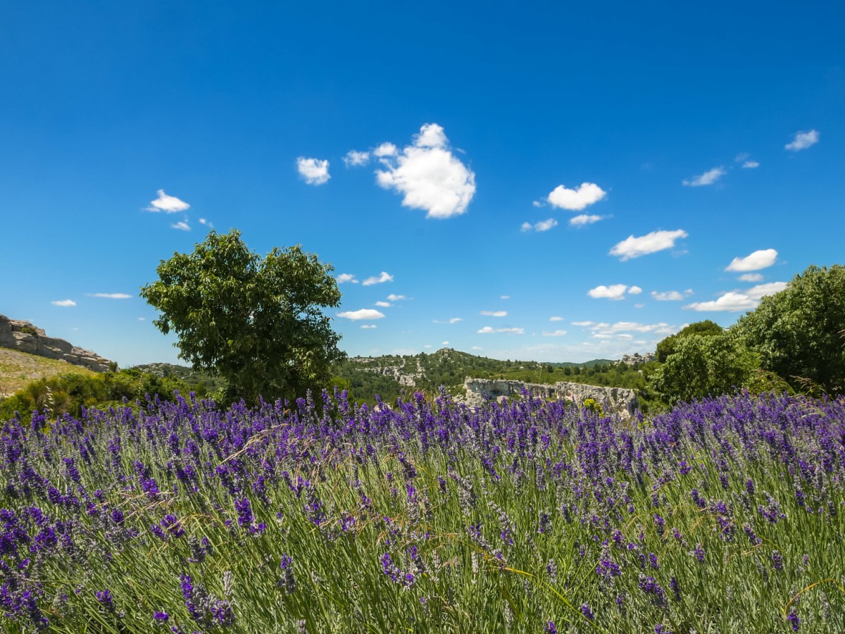 Que faire autour du Luberon&nbsp;?