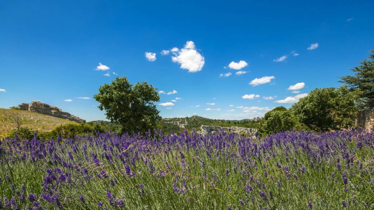 Que faire autour du Luberon&nbsp;?