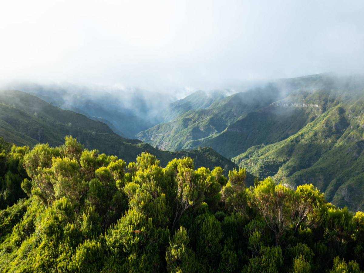 7 randonnées époustouflantes à&nbsp;Madère