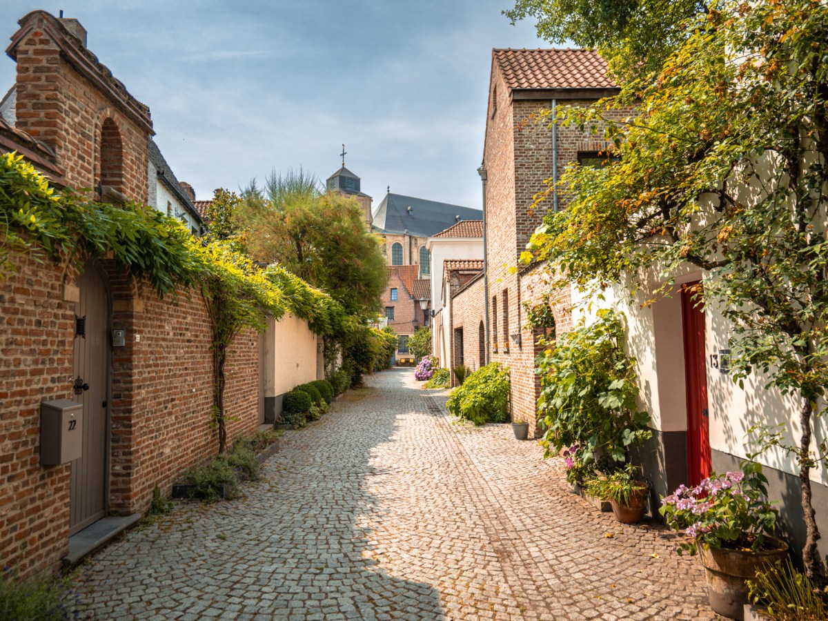 Malines, le secret le mieux gardé de la Belgique&nbsp;Flamande