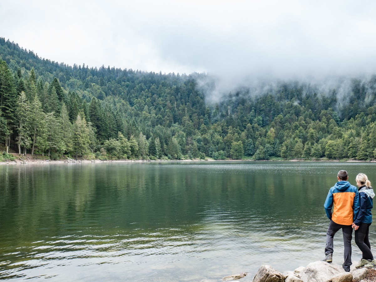 Un long week-end d&rsquo;été dans les&nbsp;Vosges