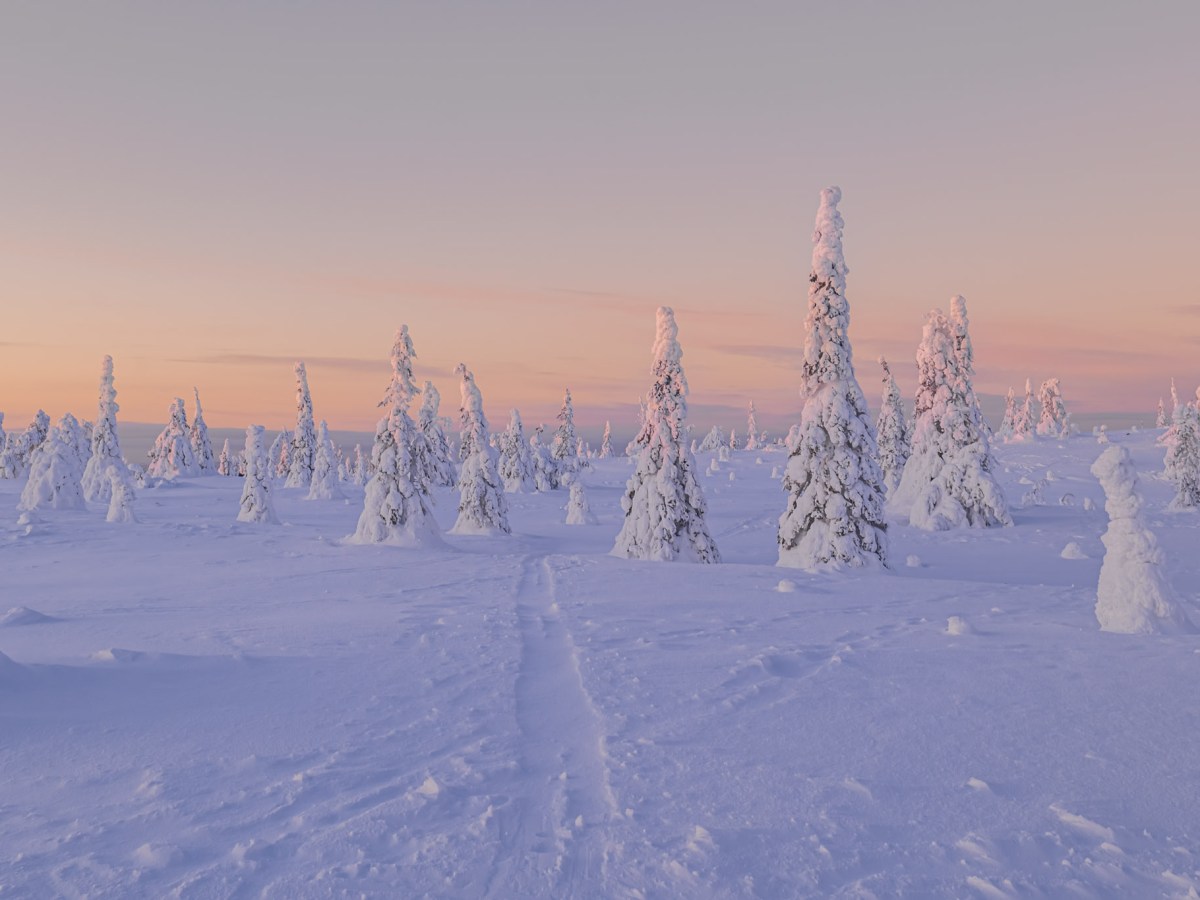 Laponie finlandaise – Riisitunturi, un rêve&nbsp;éveillé