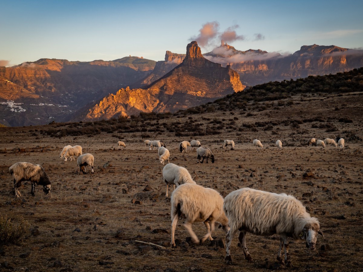 Gran Canaria – coins secrets et hors des sentiers&nbsp;battus