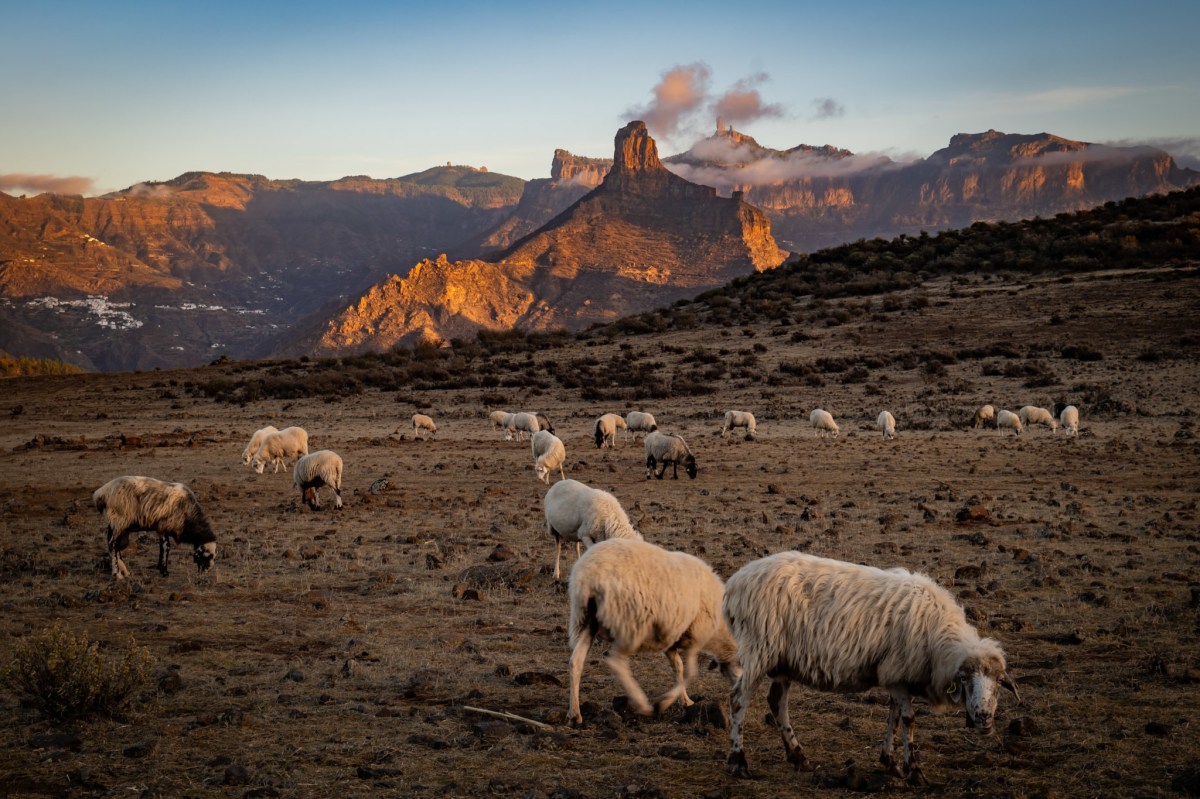 Gran Canaria – coins secrets et hors des sentiers&nbsp;battus