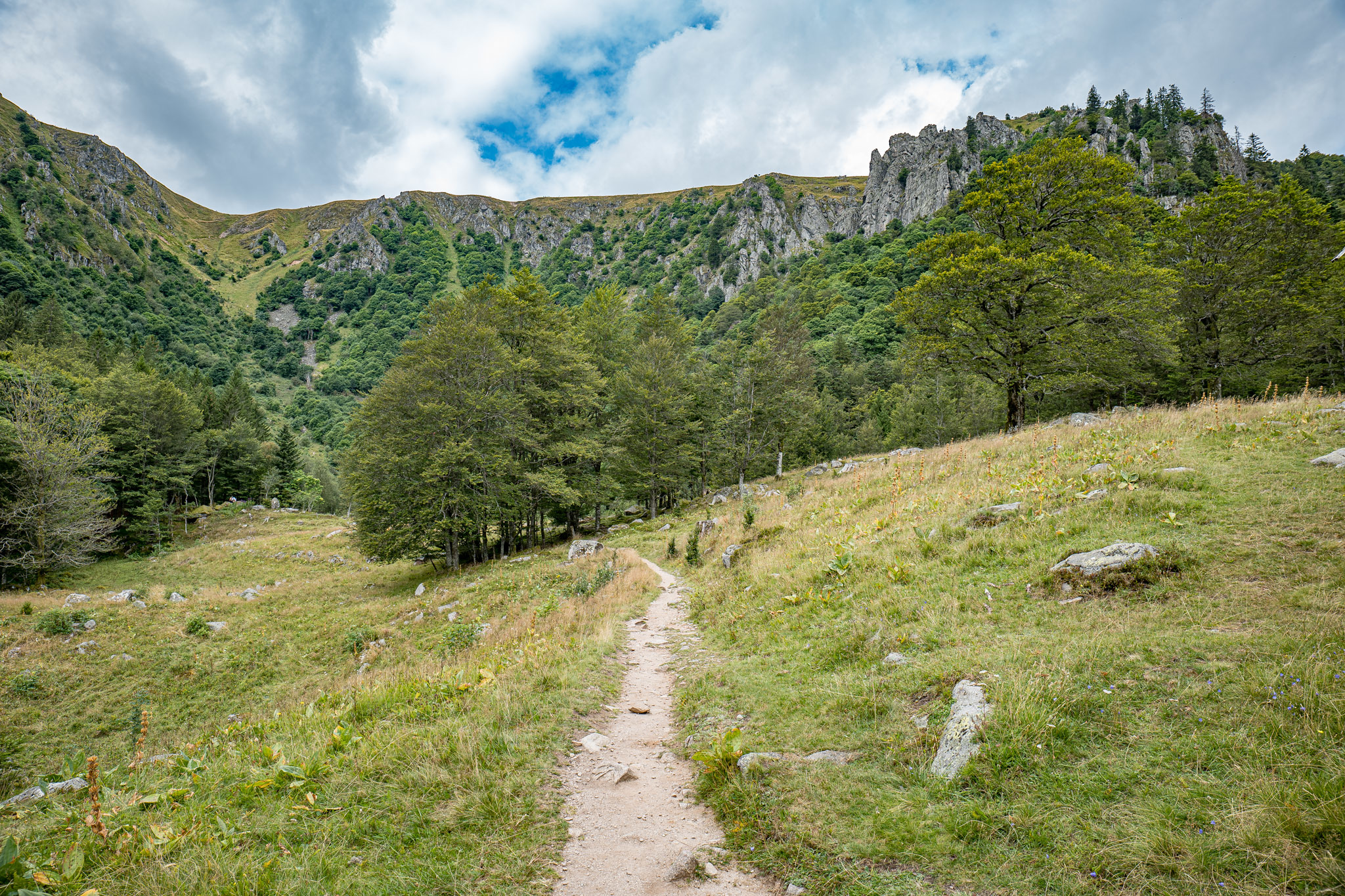 Sentier des Roches : la randonnée la plus spectaculaire des Vosges ?