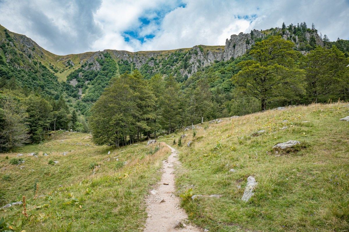 Sentier des Roches : la randonnée la plus spectaculaire des Vosges&nbsp;?