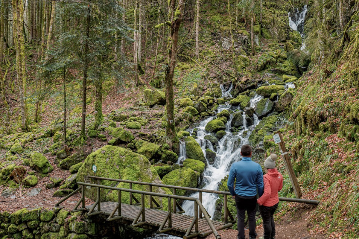 Les plus belles cascades des Vosges : accessibles ou en&nbsp;randonnée